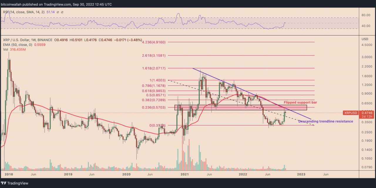 XRP price could rally by 50% based off comments from a former SEC director