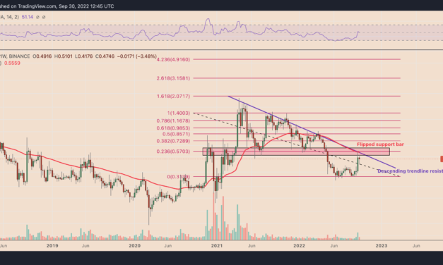 XRP price could rally by 50% based off comments from a former SEC director