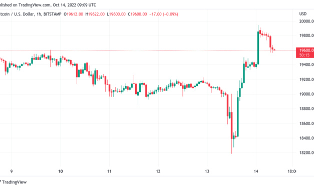 Bitcoin ‘bear trap’ sees BTC price near $20K as daily gains top 9%