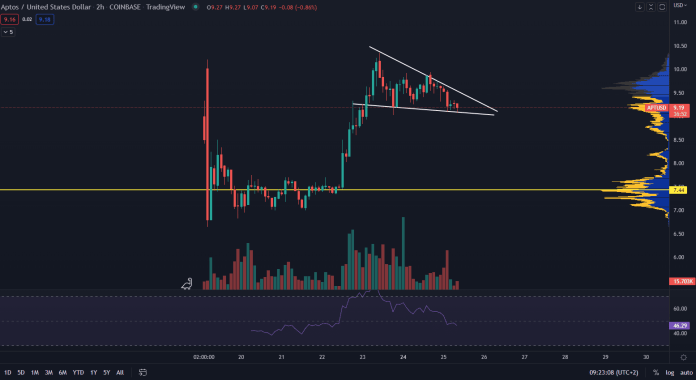 Aptos: trhová cena. Zdroj: TradingView