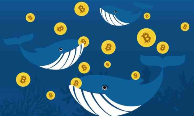 Aktivita bitcoinových investorov mizne z trhu. Čo sa chystá?