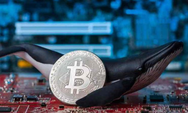 Veľa bitcoinov opúšťa burzy. Manipulujú veľkí hráči s trhom?