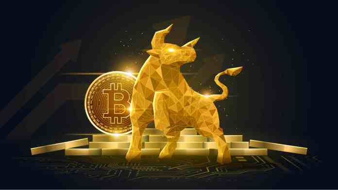 Býci veria Bitcoinu a zlatu na dlhodobo.
