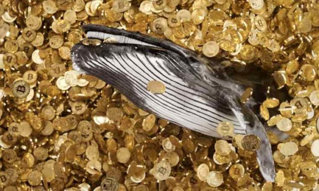 Táto spoločnosť začína kontrolovať celý kryptomenový trh!