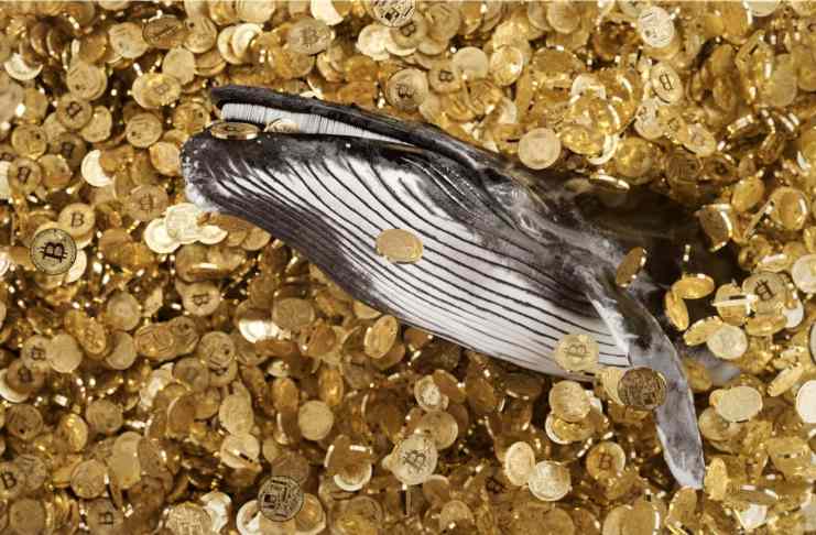 Táto spoločnosť začína kontrolovať celý kryptomenový trh!