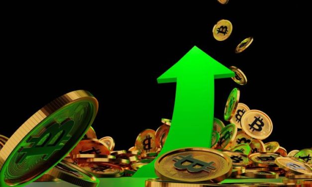 Dobrá správa pre Bitcoin! Úroveň akumulácie môže odštartovať rast. Dosiahla 7-ročné maximum