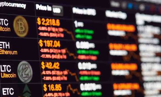 Aká je budúcnosť kryptomenových búrz? Zaniknú alebo ostanú s nami?