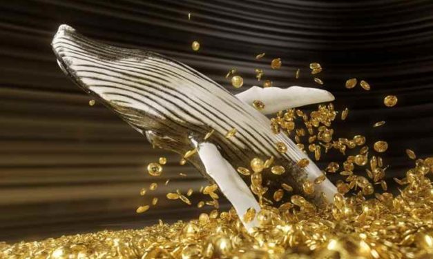 Veľryby nahromadili ďalších 3,5 milióna ETH. Veľký pohyb za rohom?