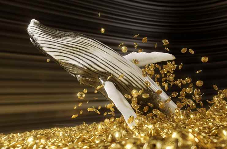 Veľryby nahromadili ďalších 3,5 milióna ETH. Veľký pohyb za rohom?