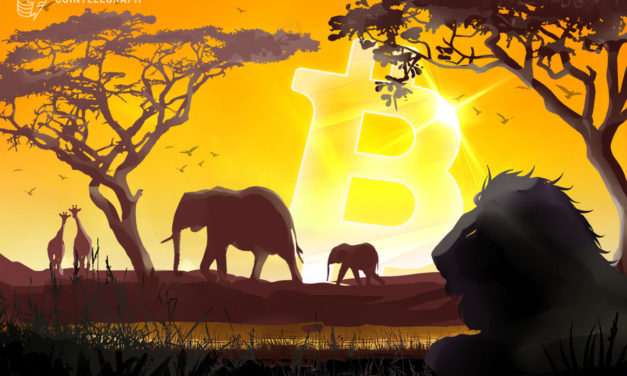 South African grocery giant ‘Pick n Pay’ intends to accept Bitcoin in all stores nationwide