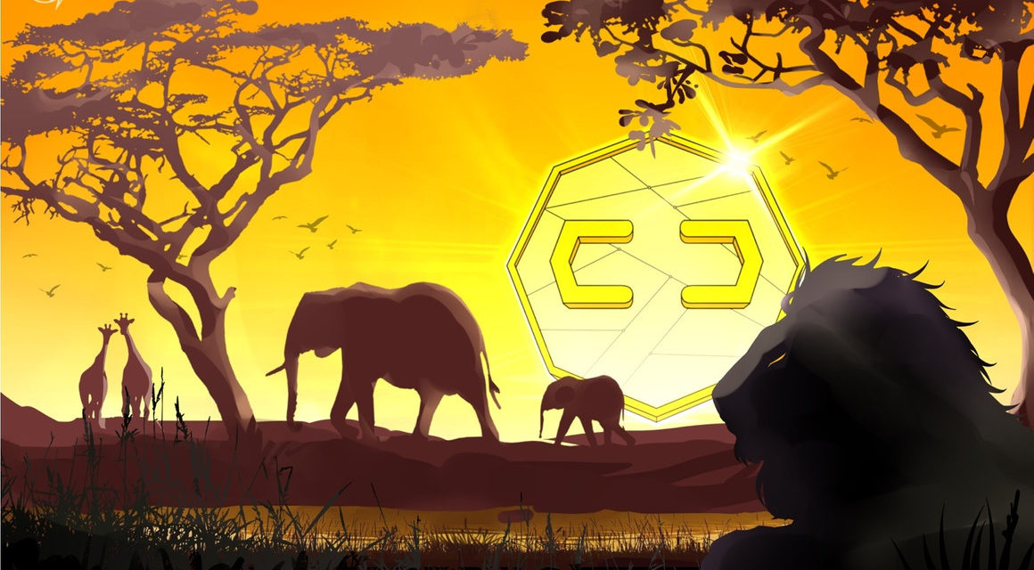 IMF calls for tighter crypto regulation in Africa as the industry unfolds