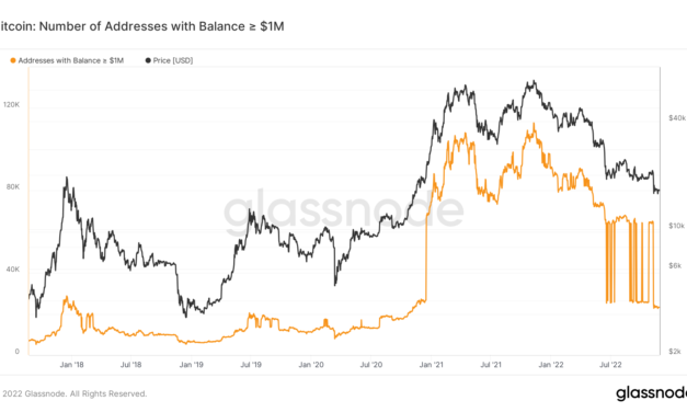 Bitcoin 'millionaire' wallets drop 80% in year of BTC price bear market