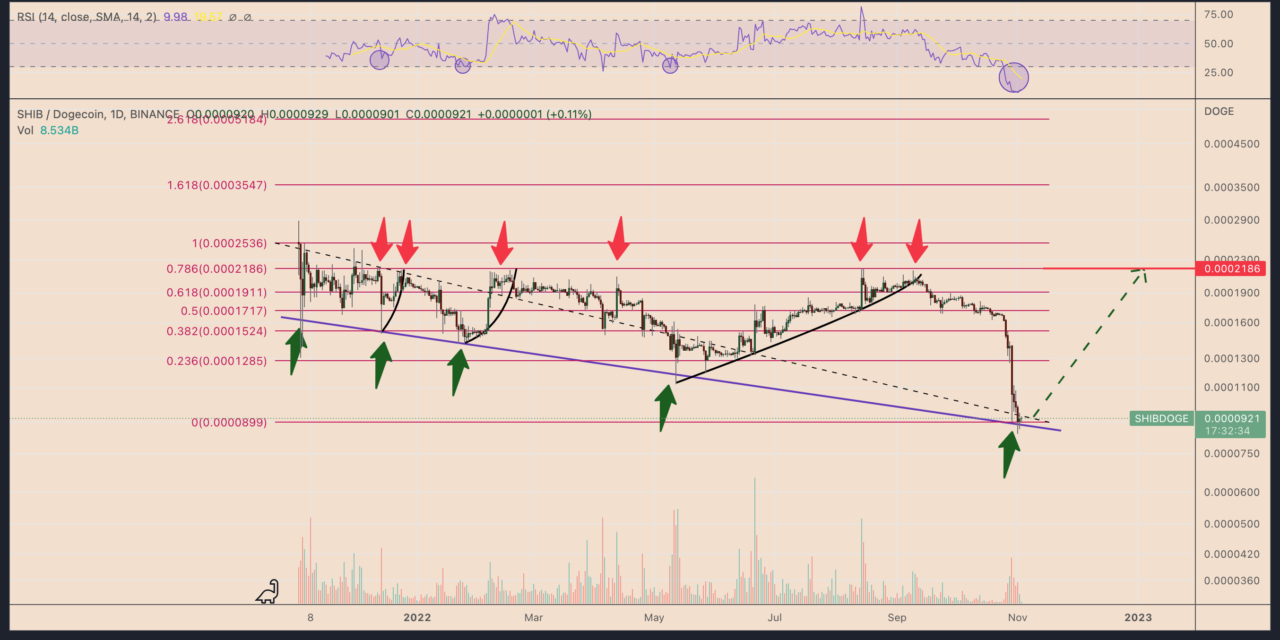 Shiba Inu price drops to record low vs Dogecoin — Will history repeat with a 150% rally?