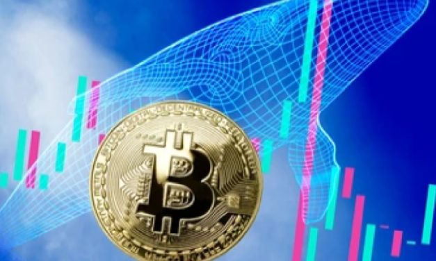 Veľkí bitcoinoví investori sú skeptickí. Čo to znamená pre cenu?