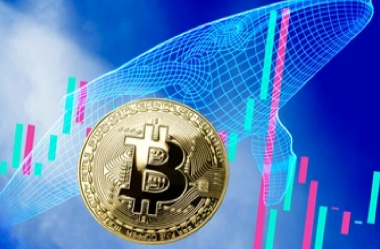 Veľkí bitcoinoví investori sú skeptickí. Čo to znamená pre cenu?