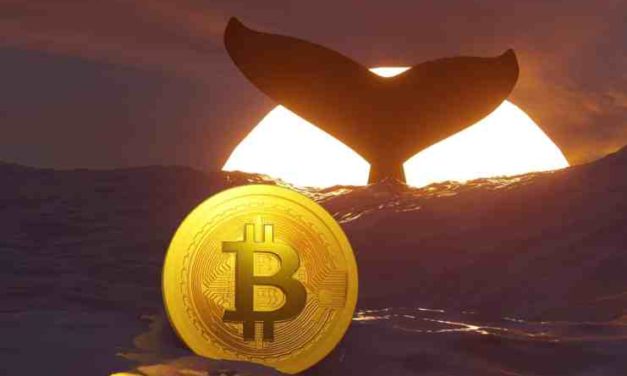 Ako kryptomenoví milionári manipulujú s trhom?