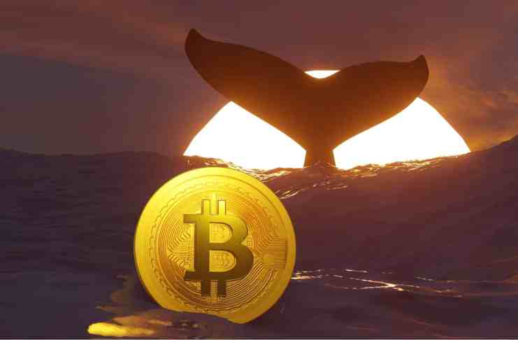 Ako kryptomenoví milionári manipulujú s trhom?