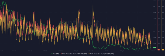 Počet transakcií veľrýb