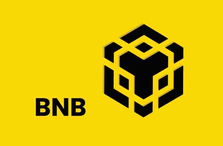 Investor David Gokhshtein sa chystá masovo nakupovať token BNB. Aké má dôvody?