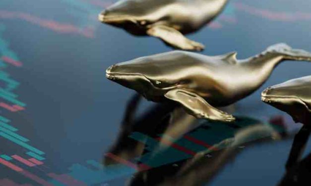 Milionári vo veľkom nakupujú túto známu kryptomenu, môžeme očakávať rast?