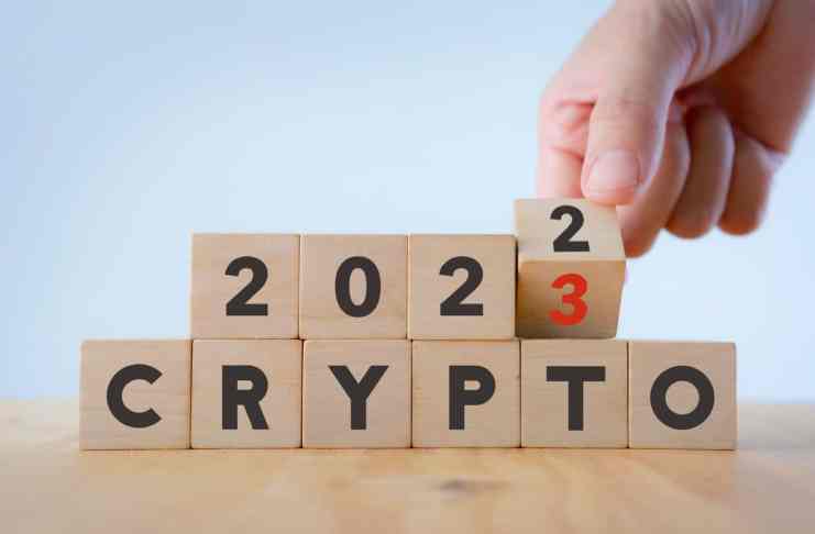 Tieto dve kryptomeny majú veľký potenciál, na trh vstúpia v roku 2023
