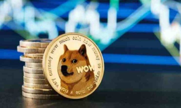 Záujem o kryptomenu DOGE narástol o 600 %. Aké sú príčiny?