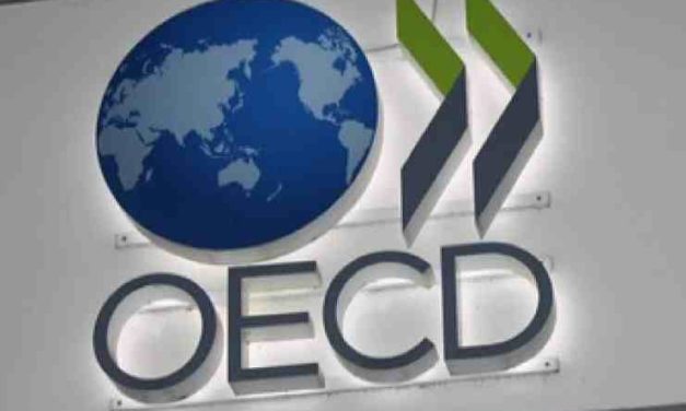 OECD vyzýva na „naliehavé politické opatrenia“ pri regulácii kryptomien. Aké sú najväčšie obavy?