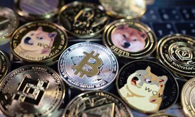 TOP 5 kryptomien, ktoré sa oplatí sledovať v decembri 2022