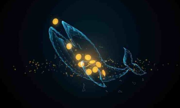 Táto známa kryptomena signalizuje budúci silný rast ceny. O ktorý projekt ide?