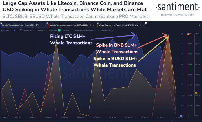 Nárast transakcii LTC a BNB