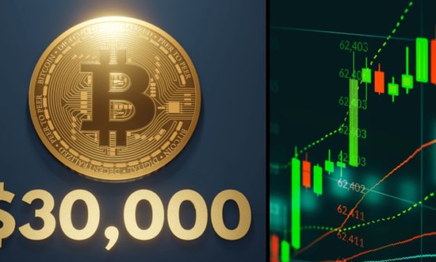 Dokáže bitcoin vyrásť až na 30 000 dolárov?