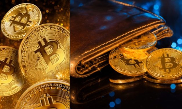 Tomu neuveríte – Koľko bitcoinov má najväčšia peňaženka?