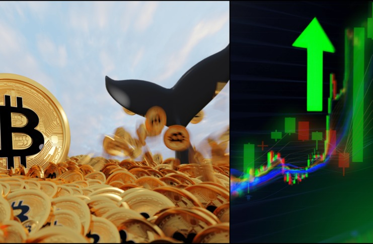 Veľkí hráči sa zobúdzajú. Čaká nás altcoinová sezóna?