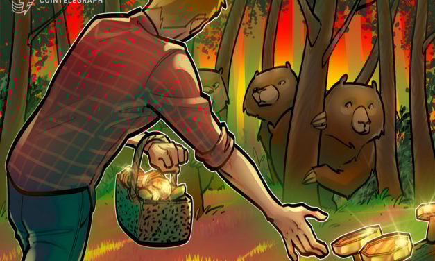 Chainalysis breaks down how scammers adapt during the bear market