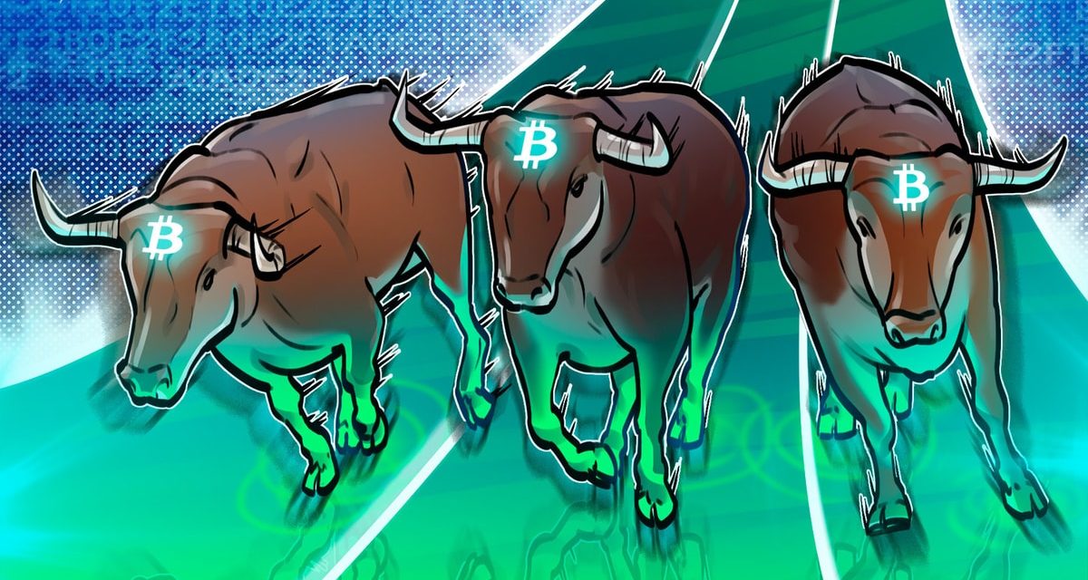 Banking crisis could spark the first 'extended duration Bitcoin bull market,' says Swan Bitcoin CEO