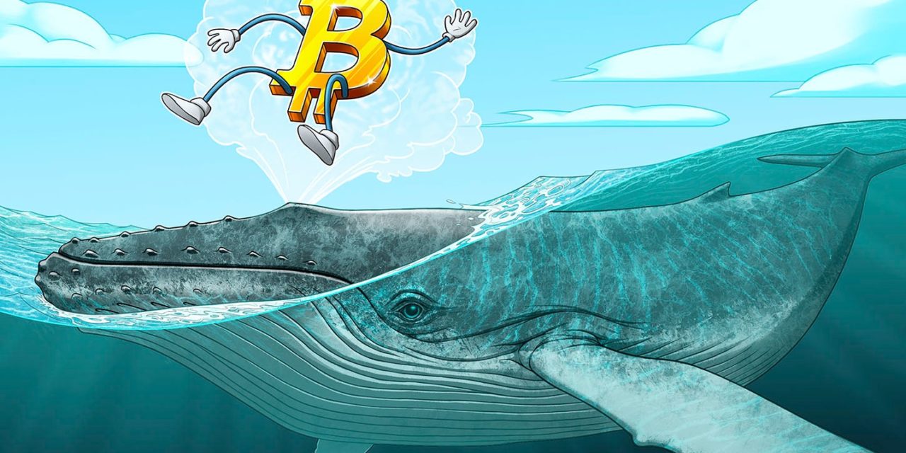Bitcoin 'mega whales' send BTC price to $30K as volatility hits crypto