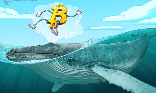 Bitcoin 'mega whales' send BTC price to $30K as volatility hits crypto