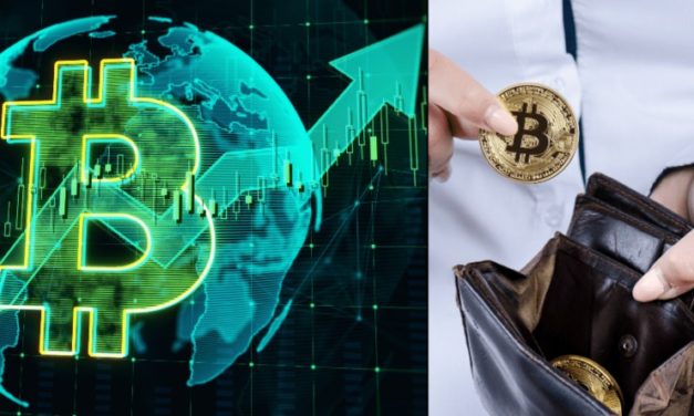 Bitcoin započal nový cyklus – zisky sa zhrnú do peňaženiek