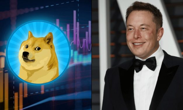 Prvý dôkaz o manipulácii s dogecoinom? Elon Musk je údajne napojený na veľké peňaženky