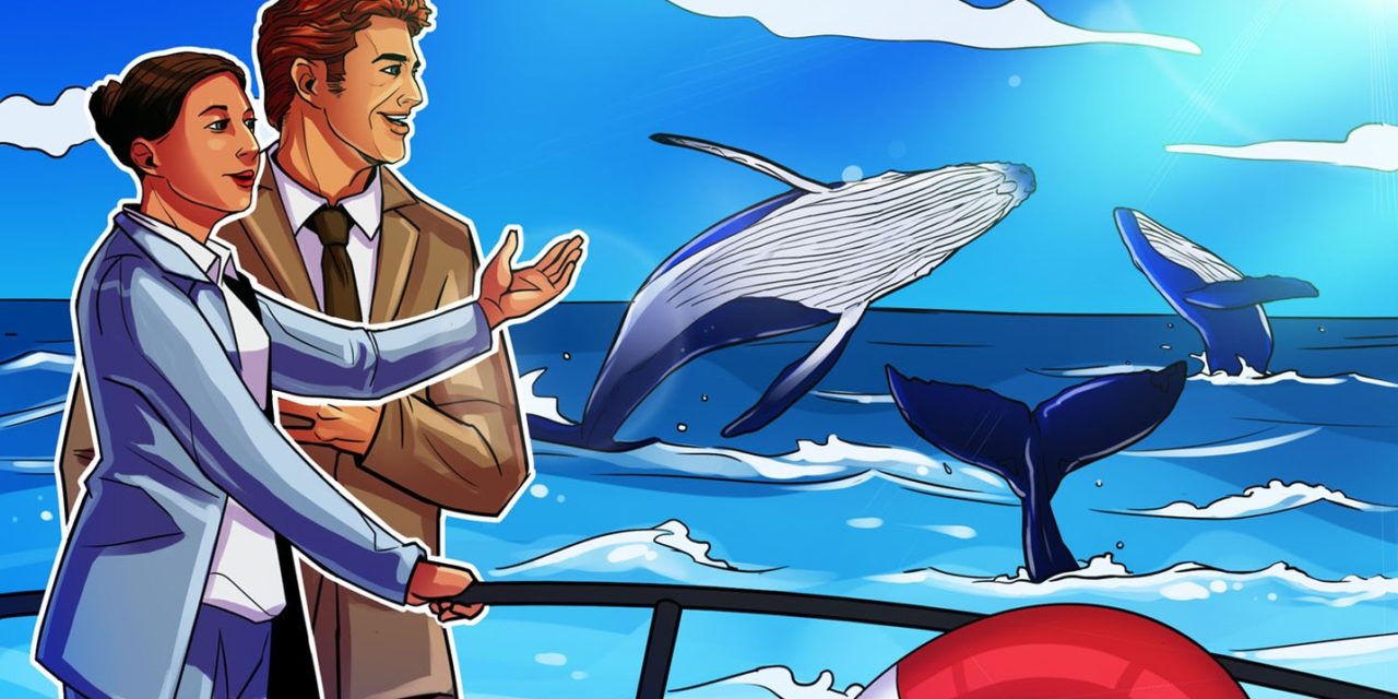 Ethereum whale population drops after Shapella — Will ETH price sink too?