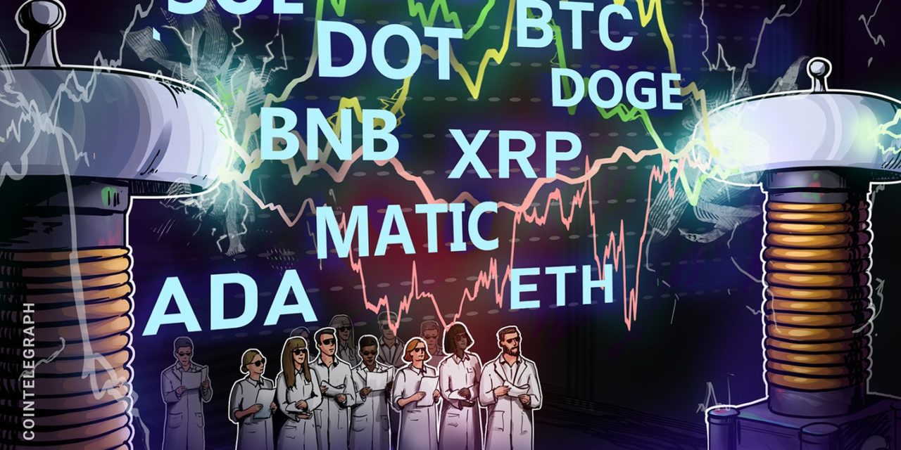 Price analysis 5/31: BTC, ETH, BNB, XRP, ADA, DOGE, MATIC, SOL, DOT, LTC