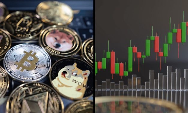 Tokenu Pepe sa podarilo viac než 100-násobne vystreliť, ďalší v poradí môže byť token WSM