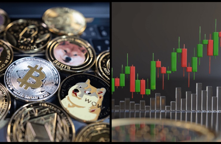 Tokenu Pepe sa podarilo viac než 100-násobne vystreliť, ďalší v poradí môže byť token WSM