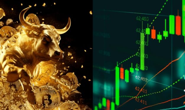 Kryptomeny čaká masívnejší rast ako v roku 2019, tvrdí bývalý riaditeľ Goldman Sachs