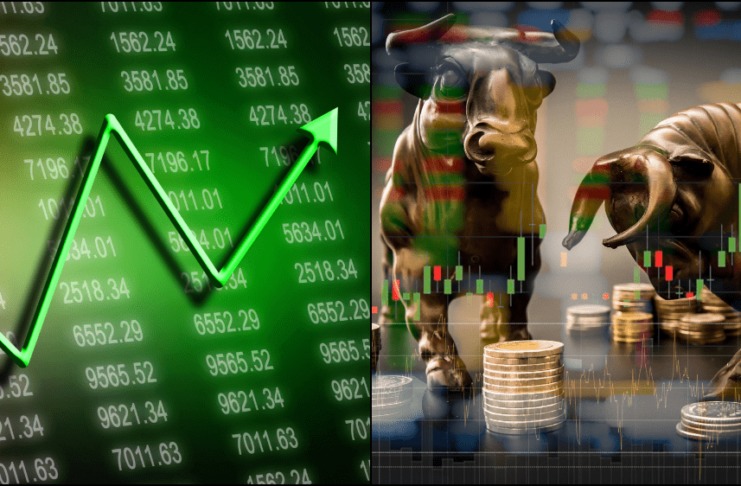 Vznikla nová mánia – táto skupina kryptomien prudko rastie