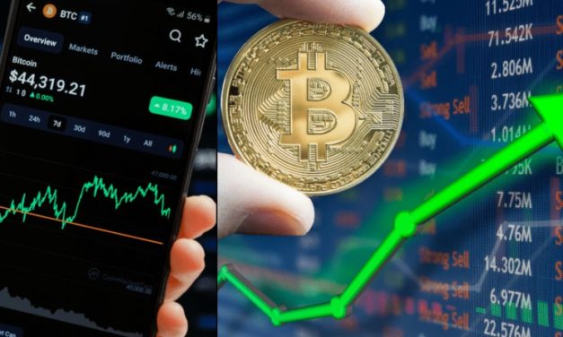 Bitcoin môže vzrásť až o 3 500 %, hovorí riaditeľka Ark Invest