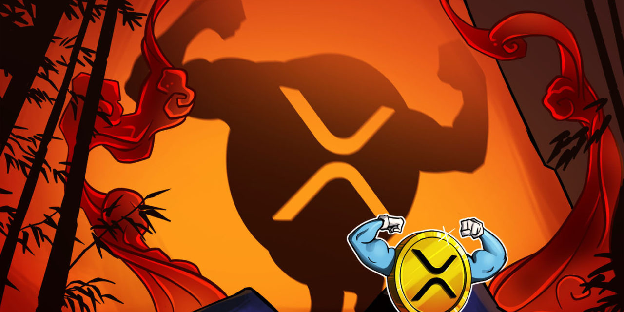 SEC's appeal won't be a setback for XRP holders – Pro XRP lawyer