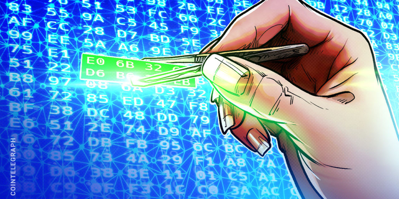 48% fewer new crypto coders last year – developer report