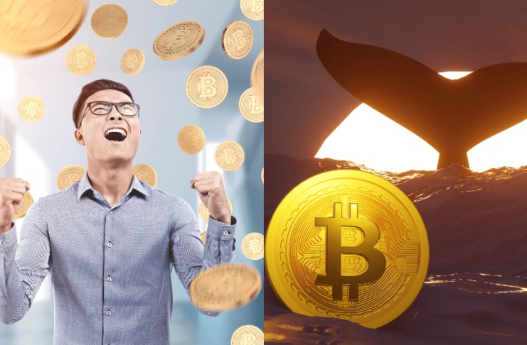 Na bitcoinovej sieti sa objavili obrovské burzové vklady. Čo sa deje?