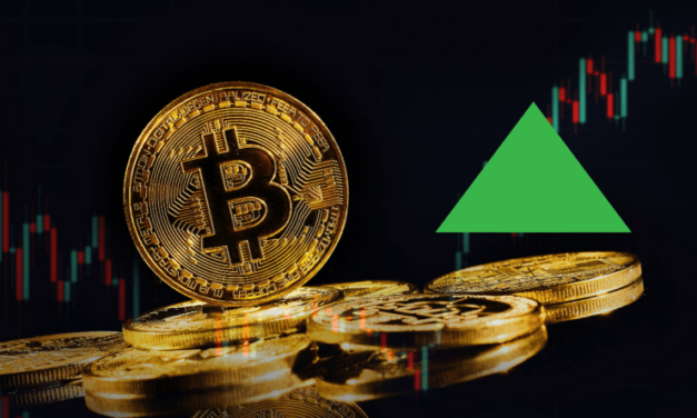 Aké kryptomeny nakupovať pri raste cien?
